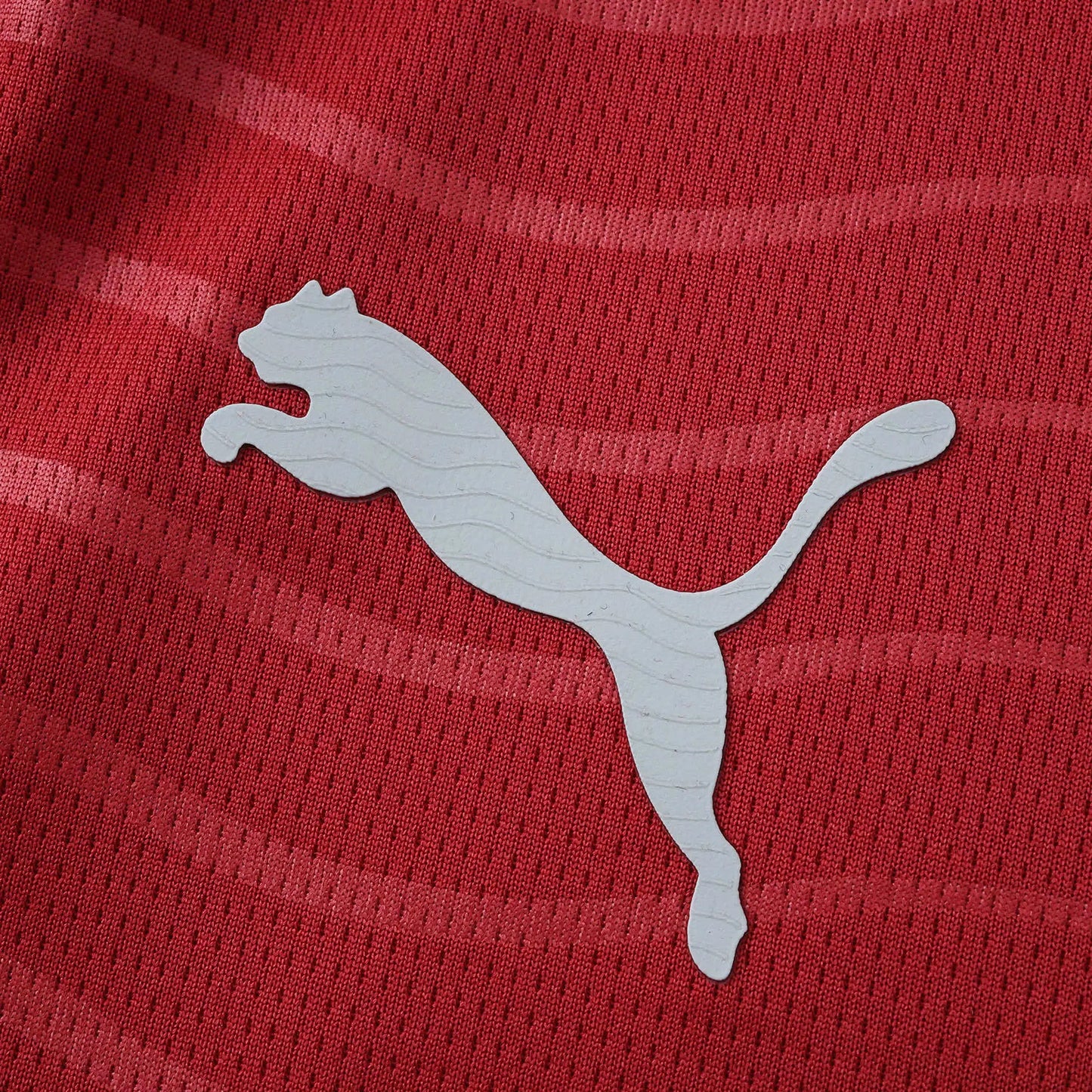 Camisola de Portugal 2025/26 Home - Torcedor