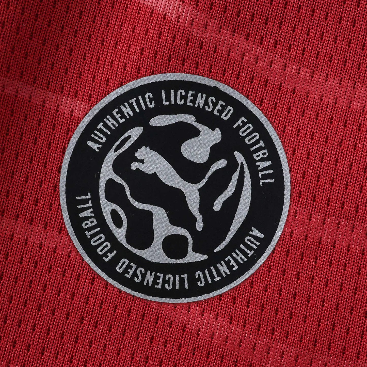 Camisola de Portugal 2025/26 Home - Torcedor